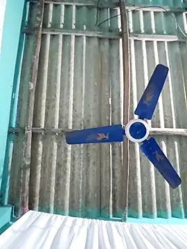 hotbaby 5 online show from 16, 11, 2025