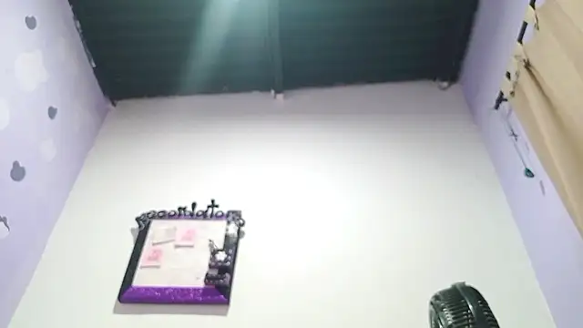 Snapshot of PetiteIvoryQueen19 chatting on 3, 12, 2024 PetiteIvoryQueen19 online show from 3, 12, 2024