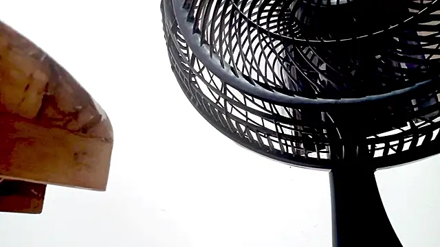 PetiteIvoryQueen19 online show from 14, 2, 2026