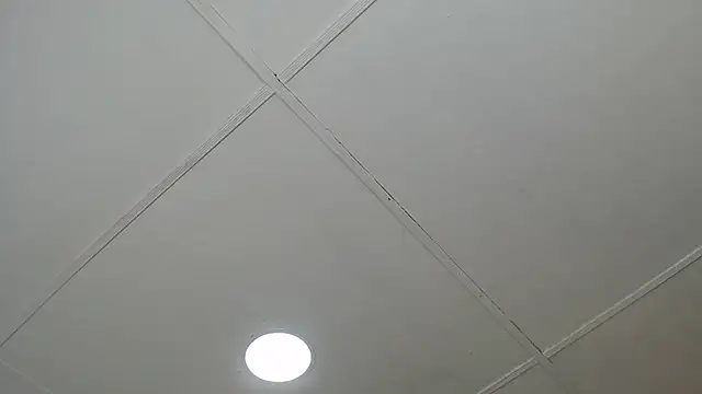 Snapshot of dannaberlin_0 chatting on 8, 3, 2025 dannaberlin 0 online show from 8, 3, 2025