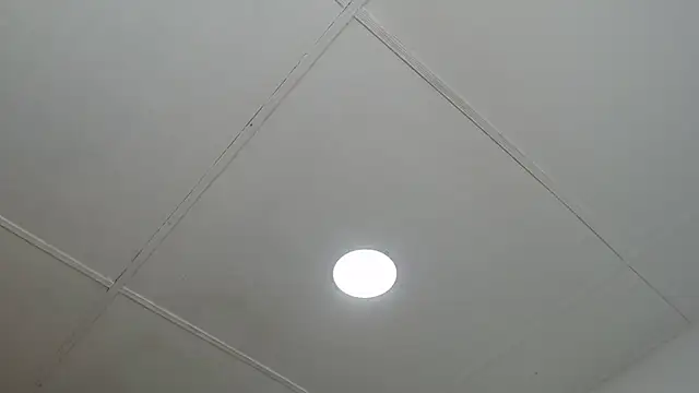 Snapshot of dannaberlin_0 chatting on 13, 3, 2025 dannaberlin 0 online show from 13, 3, 2025