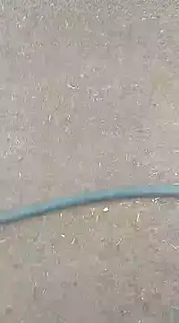 Snapshot of AuntyLover_BhabhiLover_ chatting on 7, 2, 2025 AuntyLover BhabhiLover  online show from 7, 2, 2025