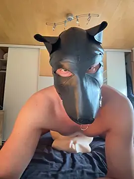 PlayDog123 online show from 16, 10, 2025