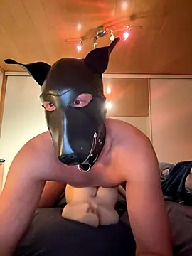 PlayDog123 online show from 27, 11, 2025