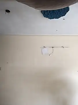 heartless  95 online show from 20, 10, 2025