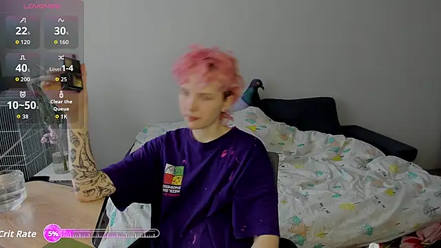 School Love online show from 12, 11, 2025