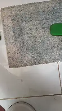 lobomisterioso13 online show from 30, 1, 2025