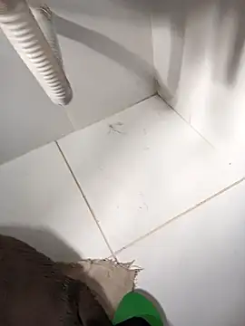 lobomisterioso13 online show from 14, 3, 2025