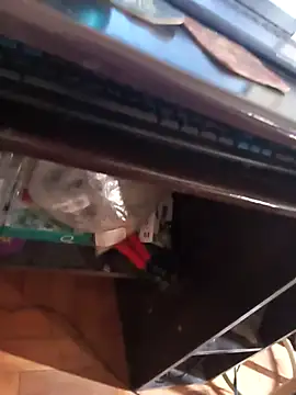 lobomisterioso13 online show from 8, 4, 2026