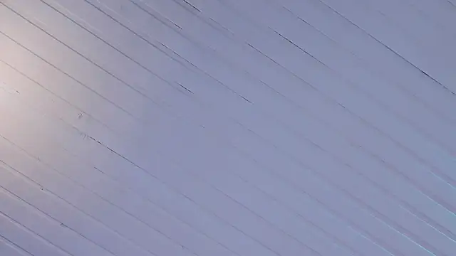 Ammy nova online show from 6, 10, 2025