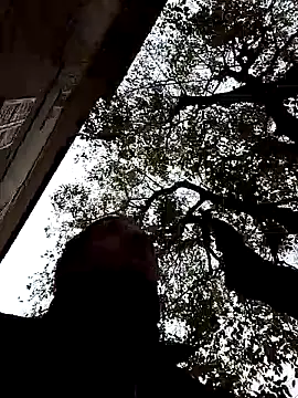 Snapshot of openlegsforyou chatting on 22, 11, 2025 openlegsforyou online show from 22, 11, 2025