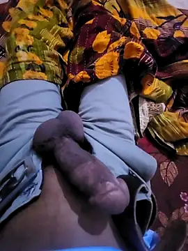 Ssdhaka11 online show from 29, 11, 2025