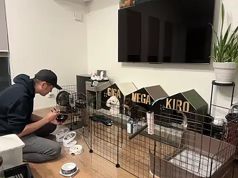 kensnb online show from 21, 10, 2025