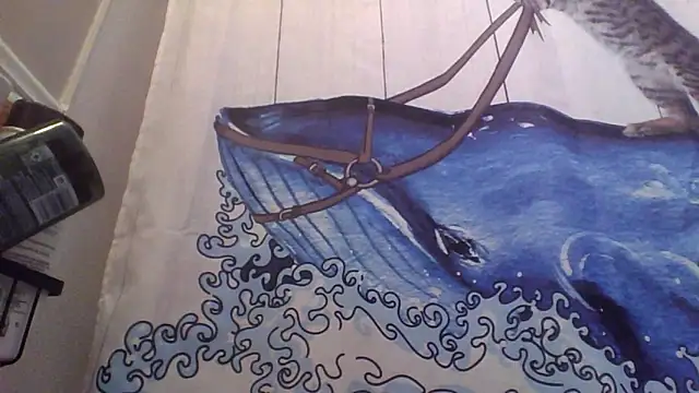 clitstitsandbongrips online show from 16, 9, 2025