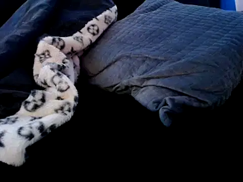 Niquitasparkles online show from 22, 12, 2024