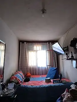 Dani pegin online show from 15, 11, 2025