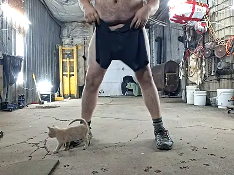 Snapshot of Frankdick01 chatting on 8, 11, 2025 Frankdick01 online show from 8, 11, 2025