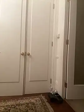 Snapshot of francaFerrariRoma chatting on 28, 12, 2024 francaFerrariRoma online show from 28, 12, 2024