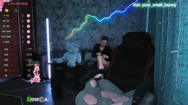 Your small bunny online show from 13, 9, 2025