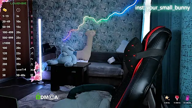 Your small bunny online show from 7, 3, 2026