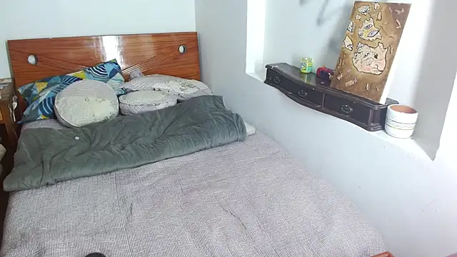 Party trans online show from 16, 12, 2024