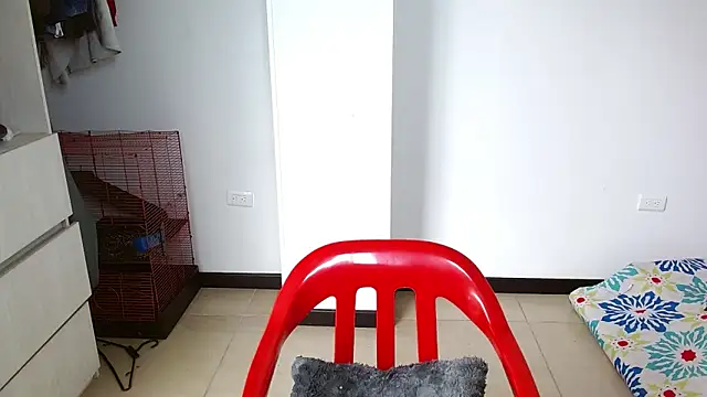 Party trans online show from 28, 12, 2024