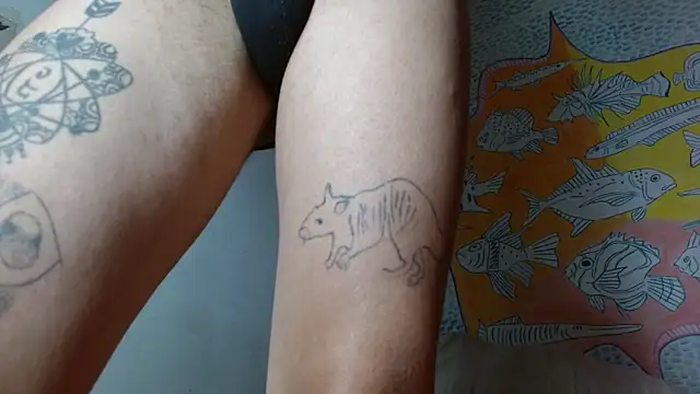 Party trans online show from 11, 2, 2025