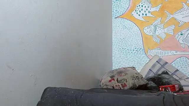 Party trans online show from 14, 2, 2025