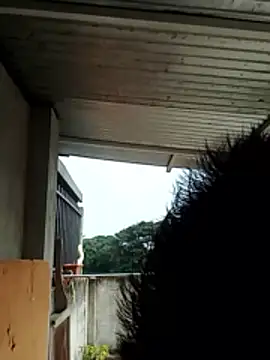 luchoarr online show from 21, 12, 2025