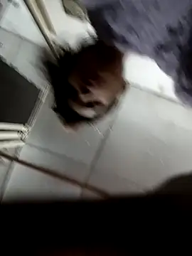 Snapshot of zoya_khan25 chatting on 28, 12, 2024 zoya khan25 online show from 28, 12, 2024