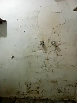 fedvrrico online show from 24, 12, 2024