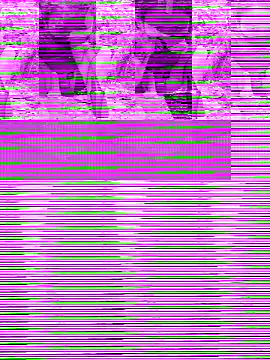 Ves9999 online show from 29, 10, 2025