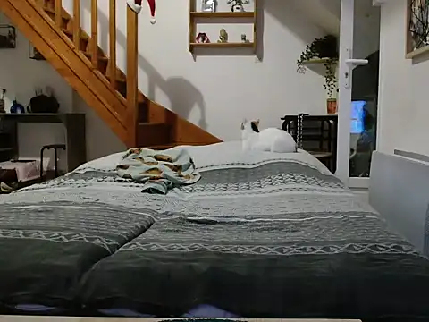 Snapshot of Lauzo21 chatting on 5, 12, 2025 Lauzo21 online show from 5, 12, 2025