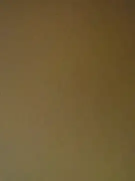 Tamilrojanew online show from 11, 4, 2026