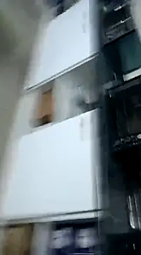 Snapshot of pedritolobito chatting on 3, 12, 2024 pedritolobito online show from 3, 12, 2024