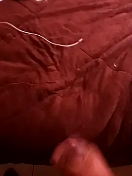 Snapshot of pedritolobito chatting on 17, 12, 2024 pedritolobito online show from 17, 12, 2024