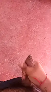 Snapshot of pedritolobito chatting on 15, 1, 2025 pedritolobito online show from 15, 1, 2025