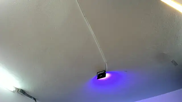 Amy Kiitty  online show from 21, 11, 2025