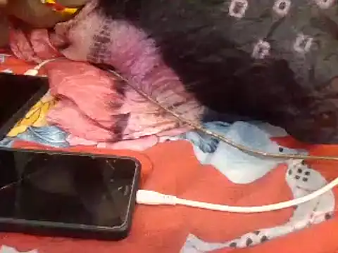 Snapshot of naina-80 chatting on 13, 1, 2025 naina-80 online show from 13, 1, 2025