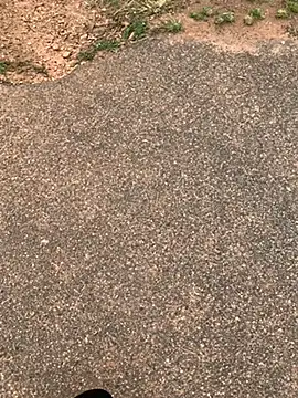 Black mamba madingo online show from 15, 2, 2025