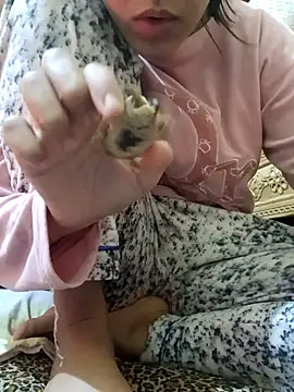 yasima-39 online show from 26, 1, 2025