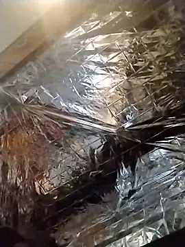 Snapshot of axelongshaft69 chatting on 19, 12, 2024 axelongshaft69 online show from 19, 12, 2024