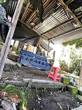 Jestebanano online show from 26, 5, 2026