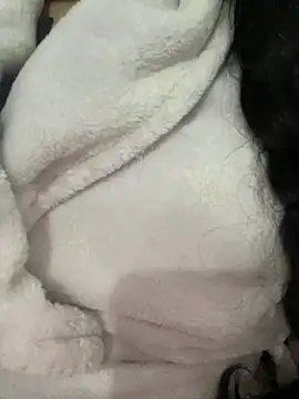 Snapshot of Lina-lolo chatting on 24, 12, 2024 Lina-lolo online show from 24, 12, 2024