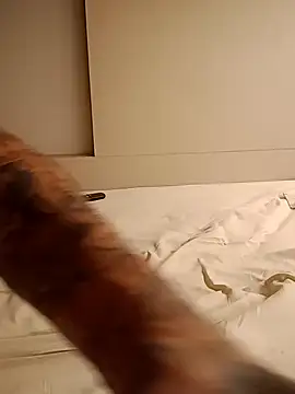 rolesexy online show from 19, 1, 2025