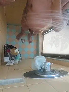 nakedtony81 online show from 4, 3, 2026