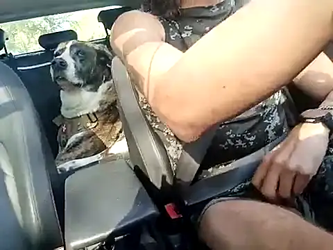 Snapshot of FRANKY_nycc1978 chatting on 10, 10, 2025 FRANKY nycc1978 online show from 10, 10, 2025