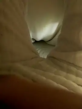 Snapshot of Aimeil chatting on 4, 1, 2025 Aimeil online show from 4, 1, 2025