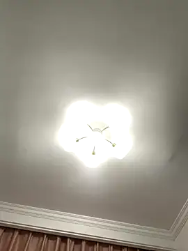 Snapshot of Aimeil chatting on 27, 11, 2025 Aimeil online show from 27, 11, 2025