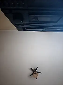 vulpe8400 online show from 8, 4, 2026